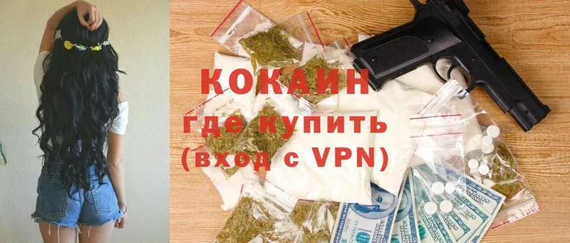 Cocaine Эквадор  купить  сайты  гидра как войти  Адыгейск 